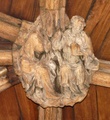 pict0318.jpg