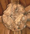 pict0332.jpg