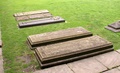 pict0335.jpg