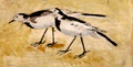 pict0351.jpg