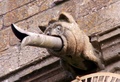 pict0216.jpg