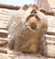 pict0220.jpg