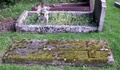 pict0275.jpg