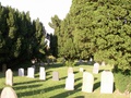 pict0285.jpg