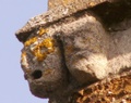 pict0286.jpg