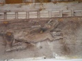 dscf1436.jpg