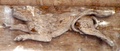 dscf1440.jpg