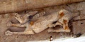 dscf1442.jpg