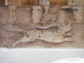 dscf1445.jpg