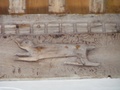 dscf1446.jpg