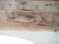 dscf1448.jpg
