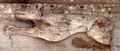 dscf1450.jpg