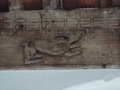 dscf1474__2_.jpg