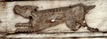 dscf1477.jpg