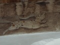dscf1481__2_.jpg