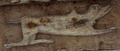 dscf1483__2_.jpg