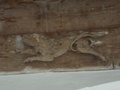 dscf1485__2_.jpg