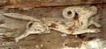 dscf1486__2_.jpg