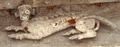 dscf1487__2_.jpg