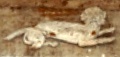dscf1488__2_.jpg