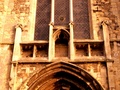 pict0075.jpg