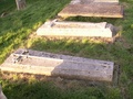 pict0085.jpg