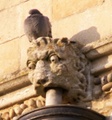 pict0089.jpg