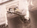 pict0075.jpg