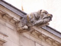 pict0089.jpg