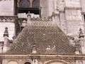 pict0083.jpg
