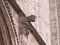 pict0084.jpg