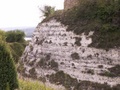 pict0056.jpg