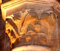 pict0248.jpg