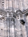 pict0265.jpg