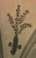 pict0194.jpg
