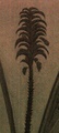 pict0195.jpg