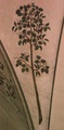 pict0209.jpg