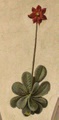 pict0211.jpg