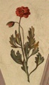 pict0213.jpg