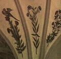 pict0214.jpg