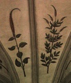 pict0217.jpg