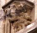 pict0075.jpg