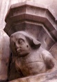 pict0081.jpg