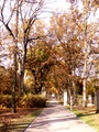pict0003.jpg