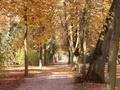 pict0005.jpg