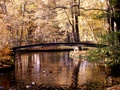 pict0006.jpg