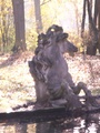 pict0007.jpg