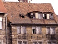 pict0131.jpg