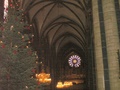pict0163.jpg