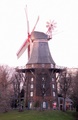 pict0173.jpg